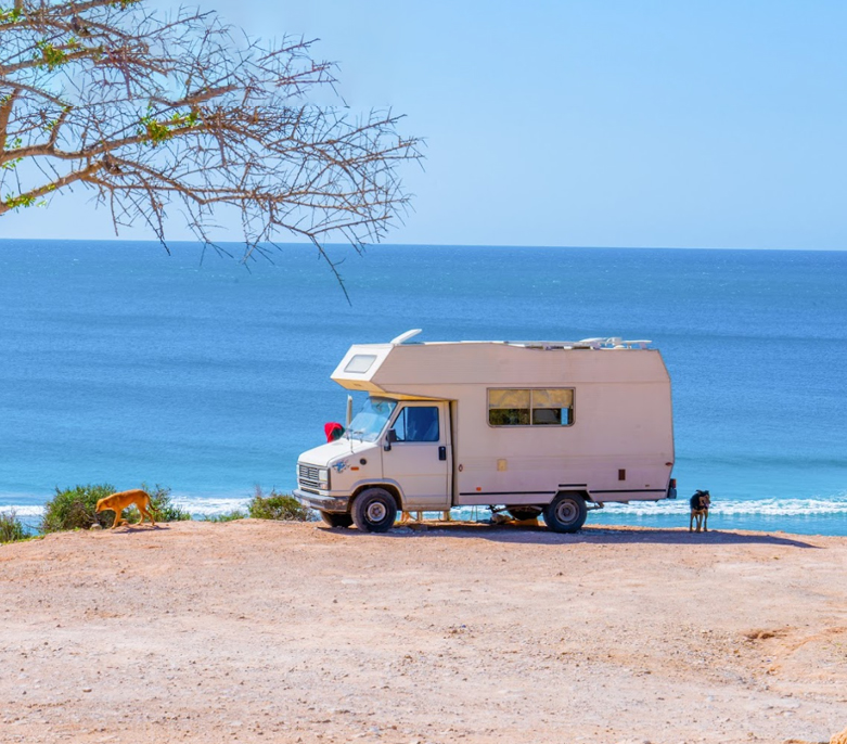 Explore Agadir Souss Massa