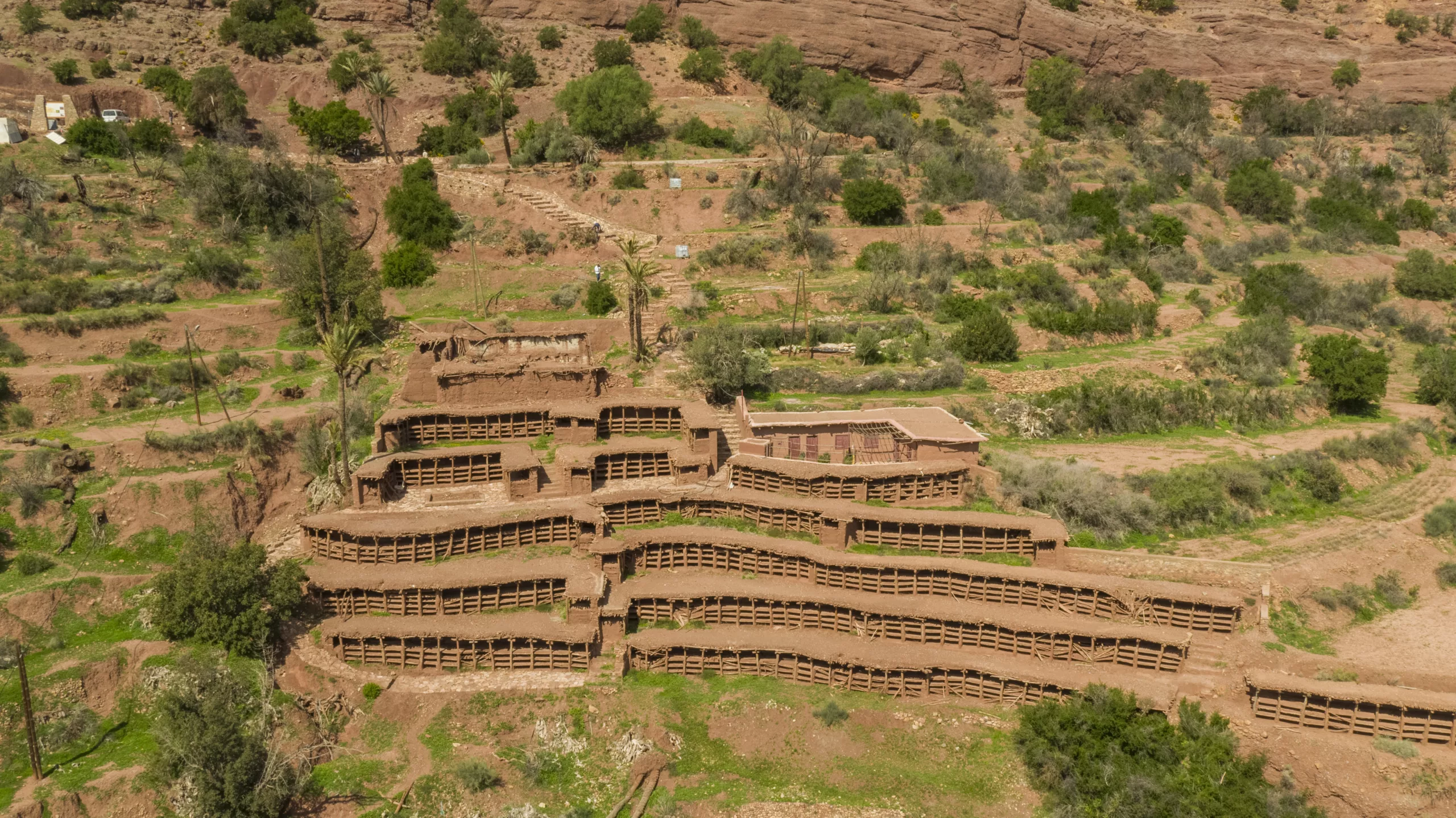 Inzerki Apiary Development
