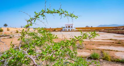 Tourist Development of the Ait Jerrar Menara